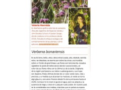 Revista Jardin Verano 2013 Mi planta preferida. Valeria Hermida