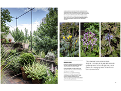 Invierno 2015 Revista Jardin especial patios. Terraza silvestre bajo belgrano. Valeria Hermida