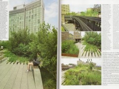 Un parque de flora nativa en New York: fotos Angela Copello.
		